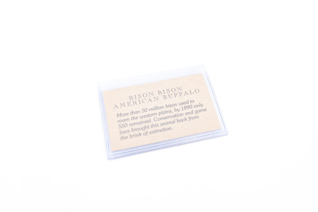 Wallet Photo Insert - Vinyl Insert With 6 Slots Wallet Photo Insert - Vinyl Insert With 6 Slots