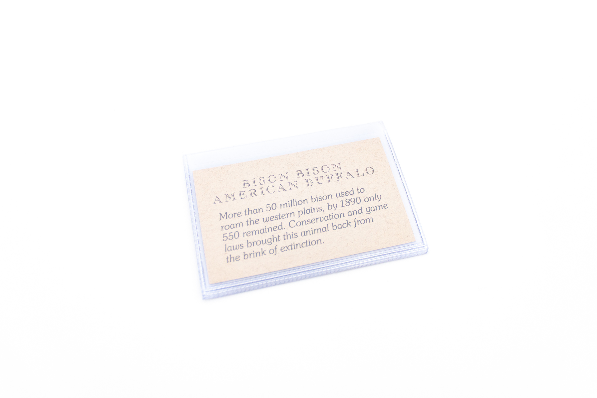 Wallet Photo Insert - Vinyl Insert With 6 Slots Wallet Photo Insert - Vinyl Insert With 6 Slots