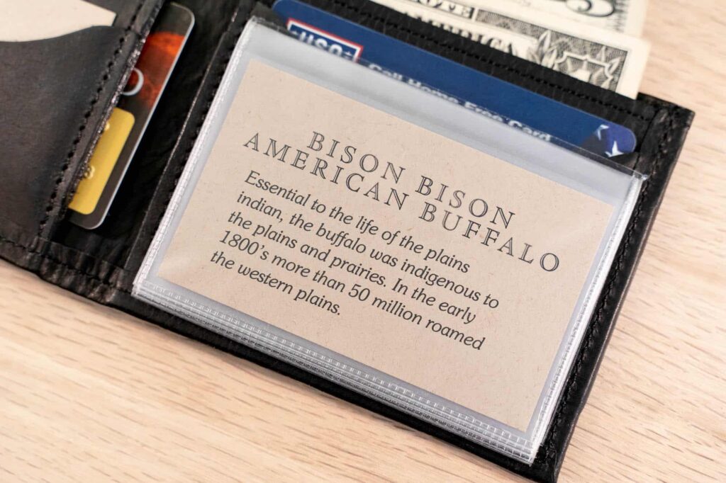 Vinyl Insert For Credit Cards, Photos, Business Cards, Drivers License, Id'S And More.